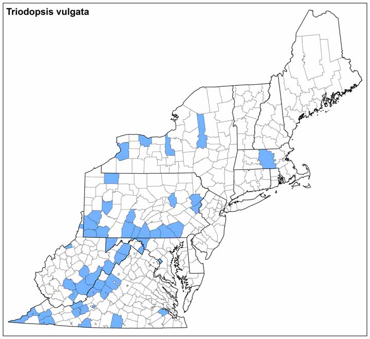 Triodopsis vulgata Range Map